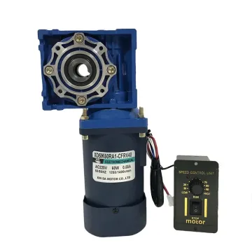RV40 60W 220V AC Worm Gear Motor with Dual Output Shaft and Speed Regulator
