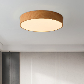 Modern LED Ceiling Lights for Living Room and Bedroom