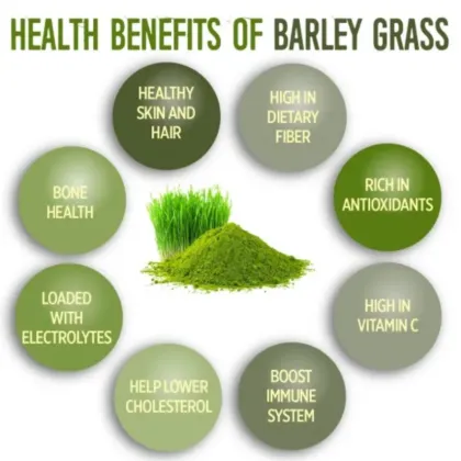 Organic Barley Grass Juice Powder 99%
