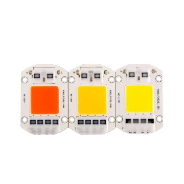 220V 110V 40*60MM COB Chip DIY High Lumen LED Bulb Lamp (20W/30W/50W) No Driver Required
