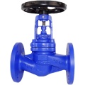 Cast steel DN15-300 bellows sealed globe valve