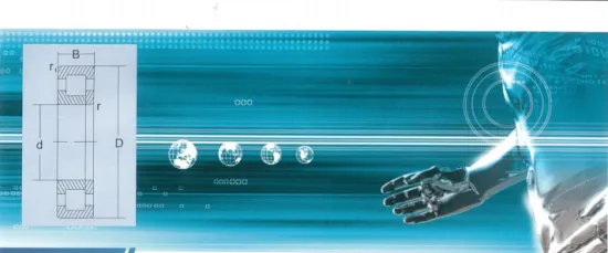 CYLNDRICAL ROLLER BEARINGS NUP308NV