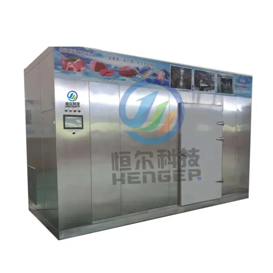 Automatic Meat Thawing and Chicken Blood Defrosting Equipment with Pump Motor for Restaurants