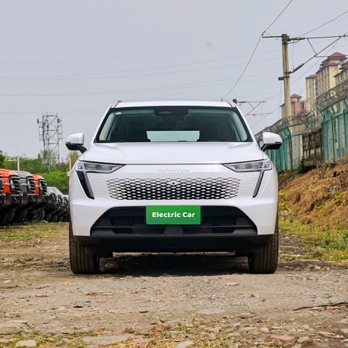 Mid size car haval xiaolong max