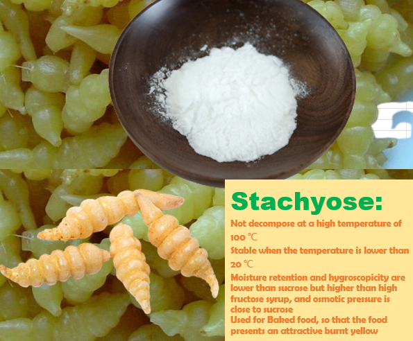 Stachyose for child and infrant