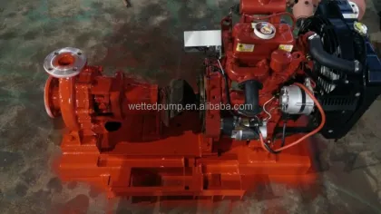 Changfa Diesel Engine Water Pump for Farm Irrigation