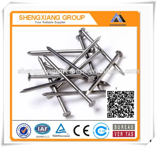 Common Iron Wire Nails Factory