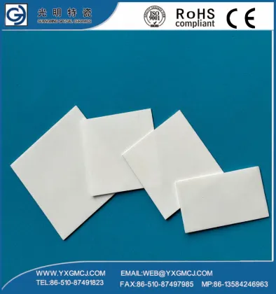 Industry Ceramic Sealing Disc