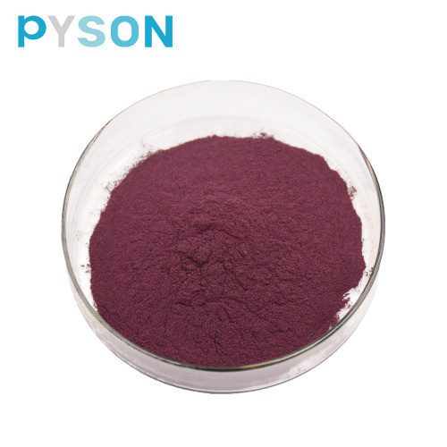 Elderberry extract( Anthocyanidins25% UV)