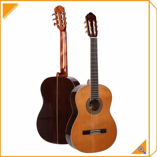 musical instruments student professional classical guitar