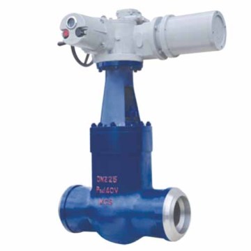 Pound-level power station gate valve