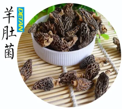 Dried morels Wild Hot Sell New Season