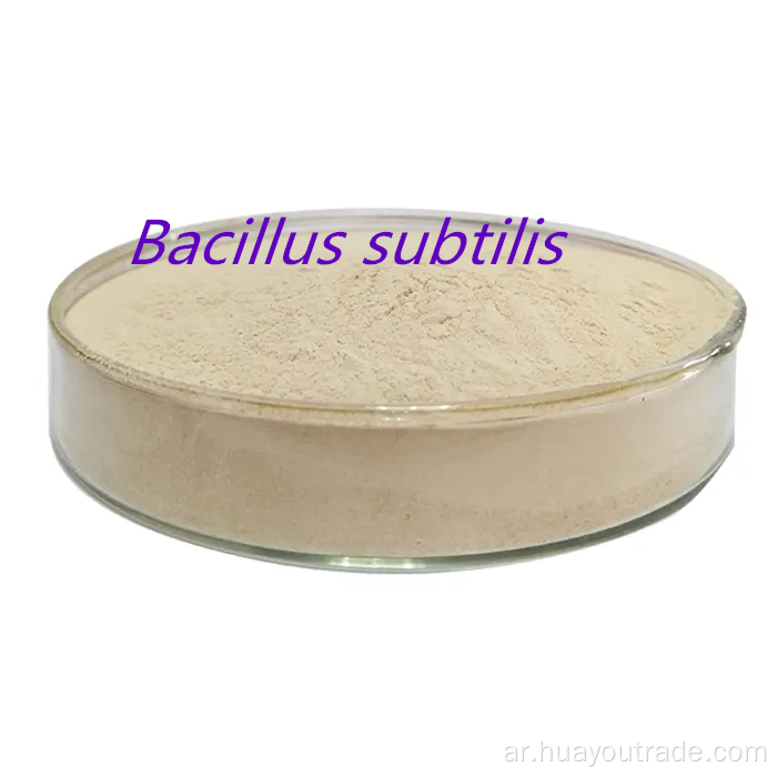 Bacillus subtilis الذوبان المياه 2000CFU/G المضافة