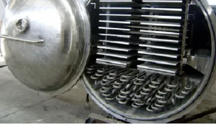 Carnation low temperature cold drying equipment