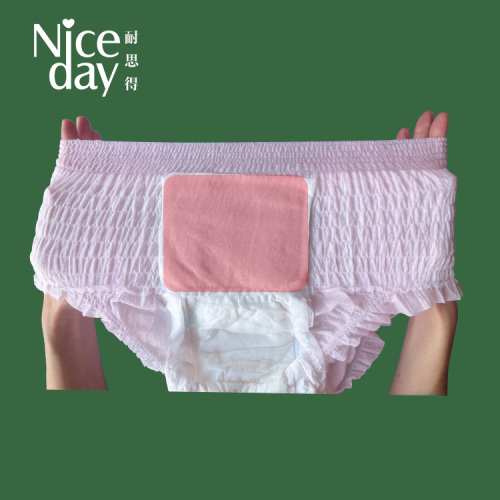 Overnight disposable Period Underwear