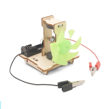 Wooden Physics Assembly Kit: Electric Motor STEM DIY Science Experiment Education Toy
