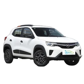 New Energy SUV Electric Cars