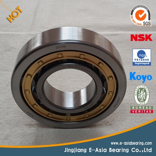 High Performance Self Aligning Ball Bearing 1218k H218 with Great Low Prices!