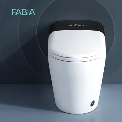High Tech Automatic Smart Toilet Bowl