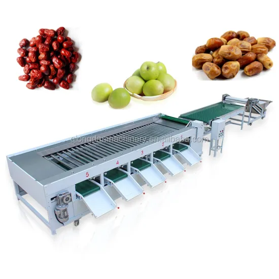 Vegetable and Nut Sorting Machine: Pepper, Onion, Carrot, Cucumber, Mushroom, Hazelnut, Macadamia, Walnut, Chestnut Grading Equipment