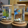 Base de bambú de acuario de vidrio pequeño mini peces