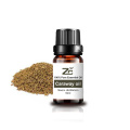 Caraway Oil Bulk Caraway Essential Oil