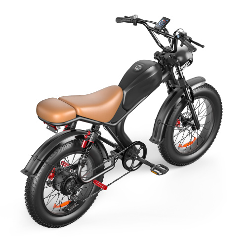 Electric Mountain Bikes For Adults
