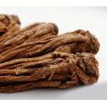 Chinesische Angelica Root Extrakt