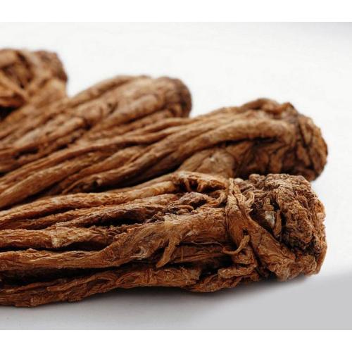 Chinese angelica root extract