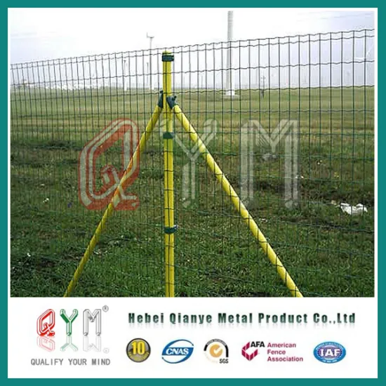 Euro Fence/Hot Dipped Galvanized Europe Welded Wire Mesh