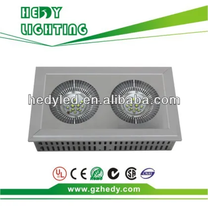 Basketball Lamps LED CREE Indoor & Outdoor Court Lighting 200W IP67