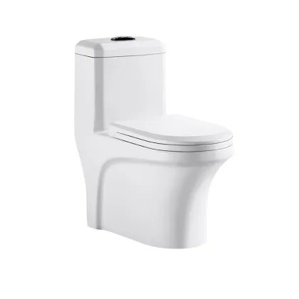 Smart WC Toilet: The Future of Sanitaryware