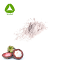 OEM Freeze getrocknete Mangostern Fruchtsaftpulver 99%