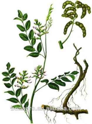 licorice root,licorice stick