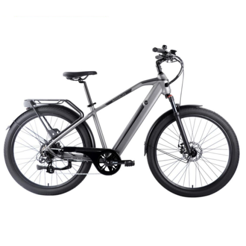 Hot sale Aluminimum alloy frame and 7 Speed electric bicycle