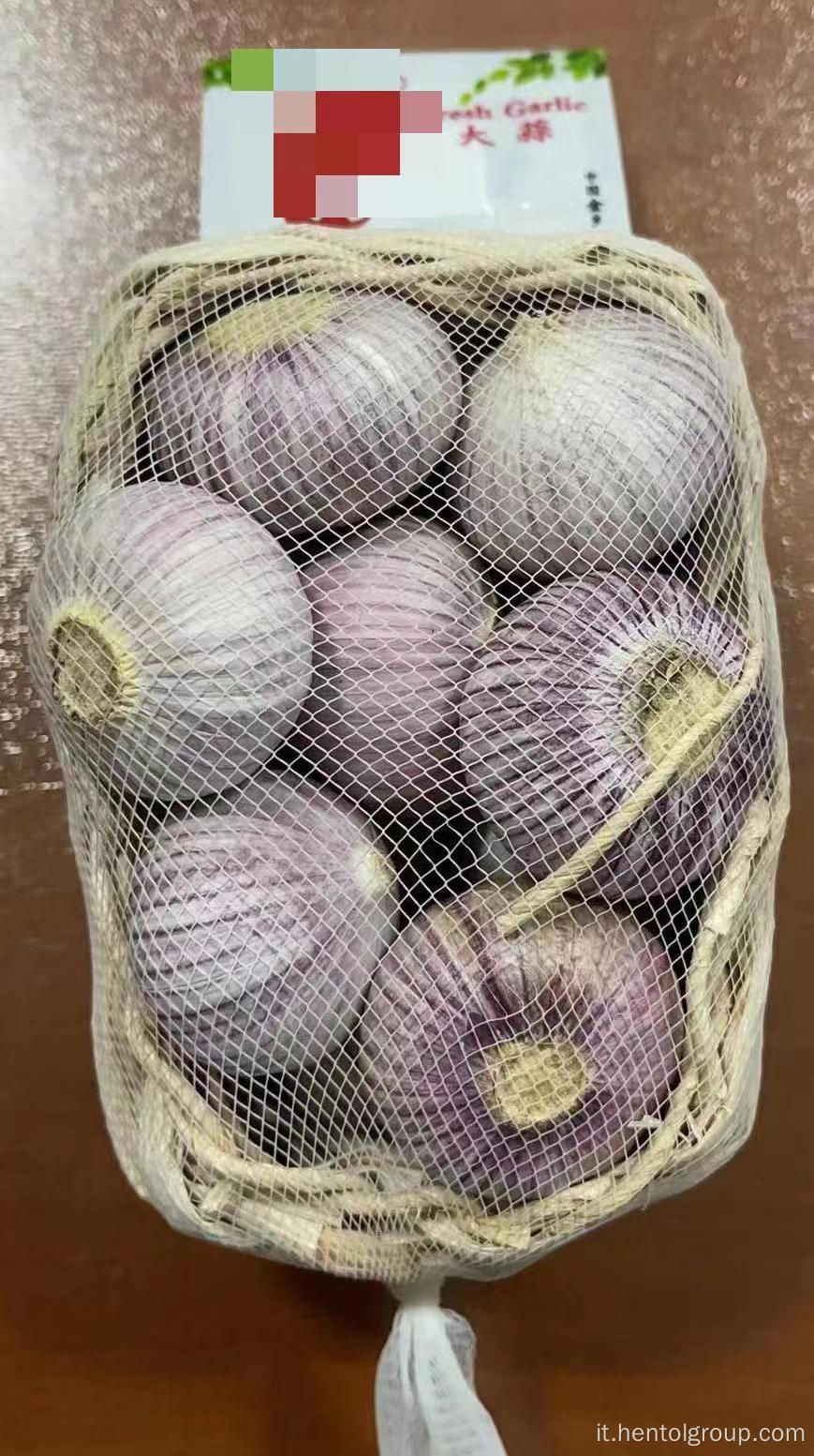Aglio a buccia viola di alta qualità