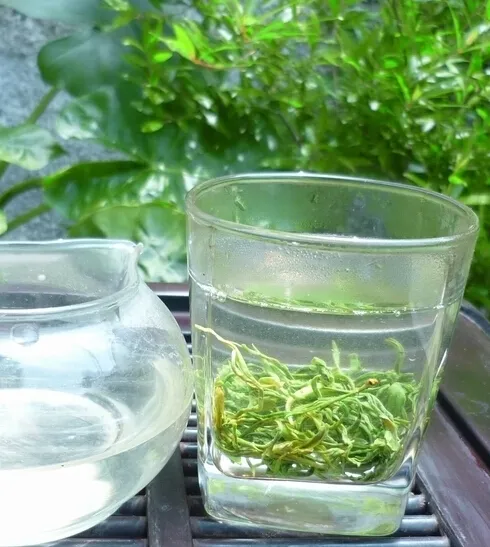 finest China maojian green tea, maofeng green tea