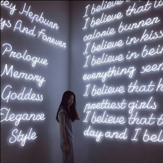 ANGEL LADY LED NEON LETTERS