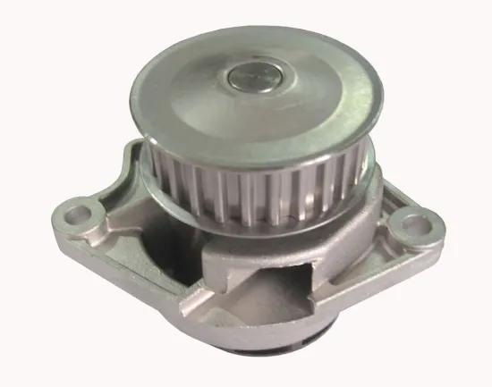 030121008c / 030121005s Automobile Water Pumps For Adui