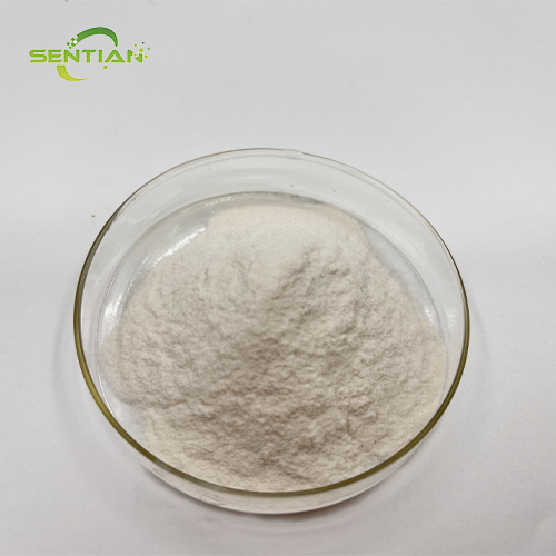 High-Purity Almond Protein Isolate for Health Supplements