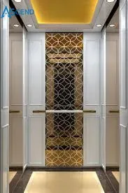CE Certified Traction Residential Lift for Small Houses and Villas