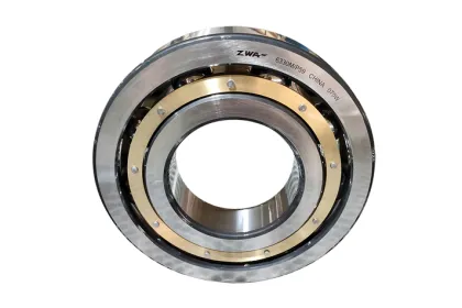 Thrust Spherical Roller Bearings