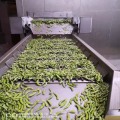 Equipo de congelación del túnel de la cama fluidizada de fruta vegetal de IQF