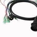 Automobile Igniter Wire Harness