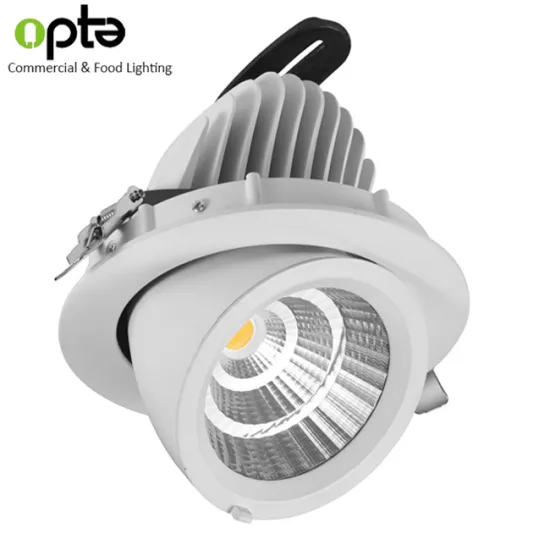 Fresh Food Meat Market Pink Color Rotatable LED Downlight 30W/40W Gimbal Lighting
