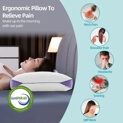 Memory cotton chip pillow With an Inner Liner