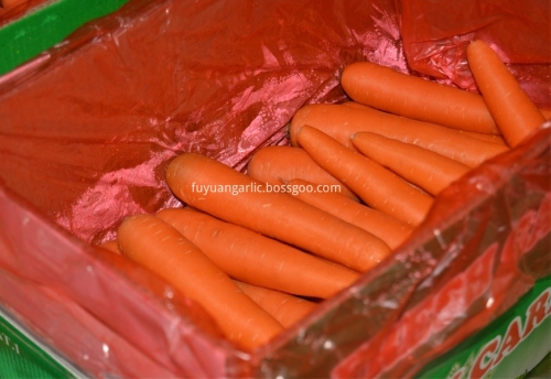Carotte fraîche savoureuse carotte