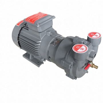 Reasonable Price Personalized Claw Vacuum Pump