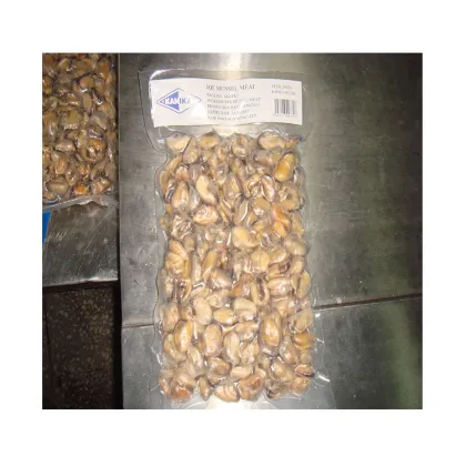 new season blue mussel mussel product detail good quality blue mussel detail