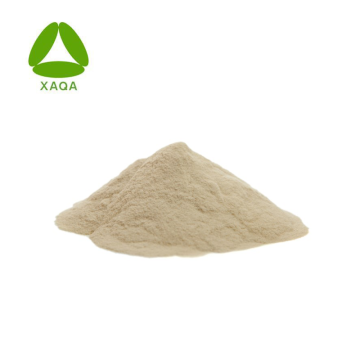 Suplemen Shark Bone Extract Chondroitin Sulfate 90% Serbuk